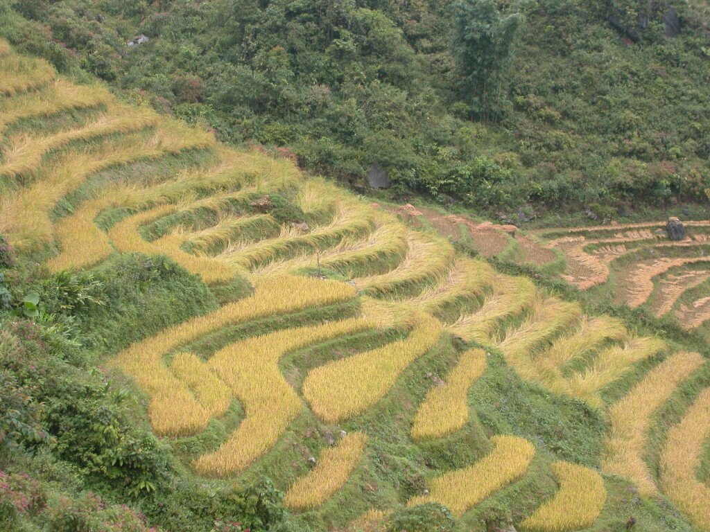 14-Day Hanoi to Saigon Cycling Tour